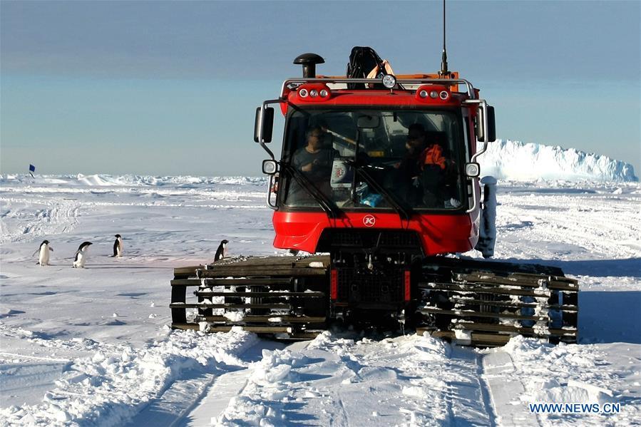 Adelie penguins look at the snowmobile near China\'s research icebreaker Xuelong in Antarctica, Dec. 2, 2018. China\'s research icebreaker Xuelong, also known as the Snow Dragon, is now 44 kilometers away from the Zhongshan station. Unloading operations have been carried out after the transportation routes were determined. (Xinhua/Liu Shiping)