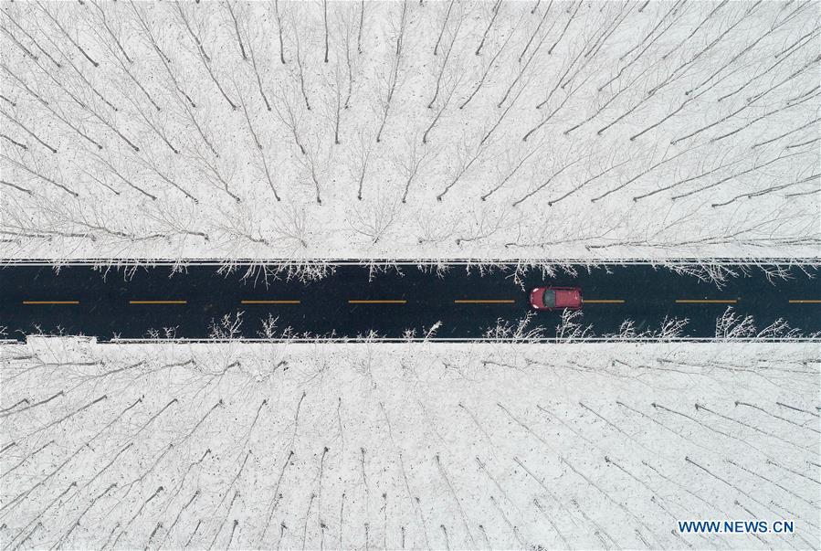 Aerial photo taken on Dec. 11, 2018 shows a car moving on the road to go through the woods covered with snow near a wetland in Zaozhuang City, east China\'s Shandong Province. (Xinhua/Gao Qimin)