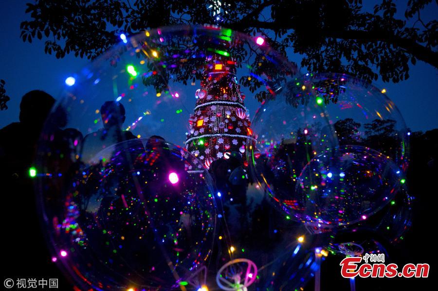 What is it like to spend Christmas in summer? On December 10, people in San Paulo, Brazil, were seen enjoying the view of a huge Christmas tree. Located in the city’s Ibirapuera Park, the tree stands 43 meters high and 15 meters wide. (Photo/VCG)