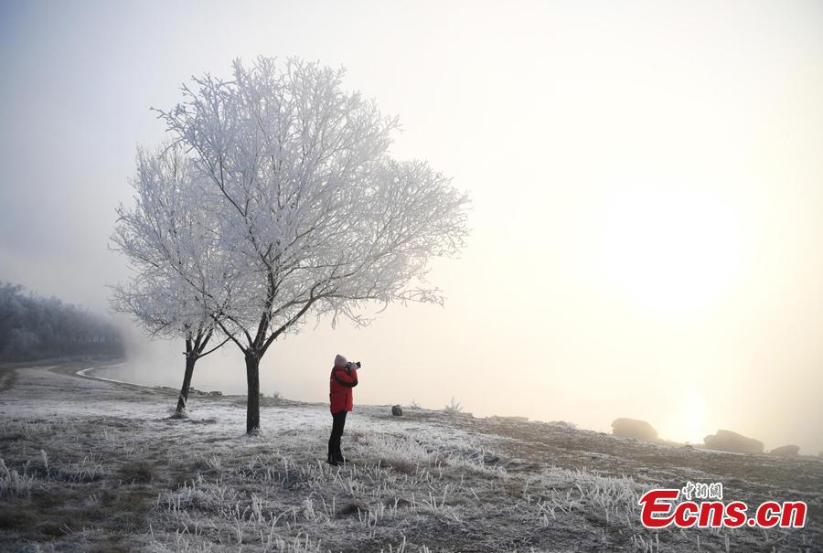 Photo taken on Dec. 12, 2018 shows breathtaking rime scenery along the Songhua River in Jilin City, Jilin Province. （Photo; China News Service/Zhang Yao）