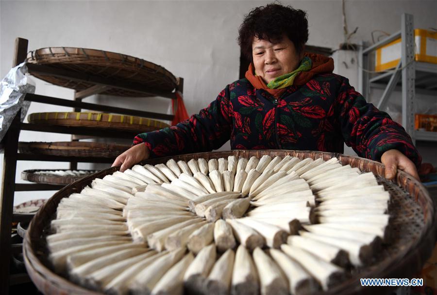 A worker prepares to dry the Xuan ink brushes at a workshop in Huangcun Town of Jingxian County, east China\'s Anhui Province, Dec. 14, 2018. Huangcun Town has a long history of the Xuan ink brush making. The ink brush, ink, Chinese Xuan paper and ink slabs are four traditional writing materials of Chinese stationery. (Xinhua/Liu Junxi)