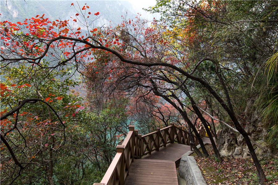 A section of the footpath at Wushan Mountain complements the beauty of the natural landscape. (Photo provided to chinadaily.com.cn)