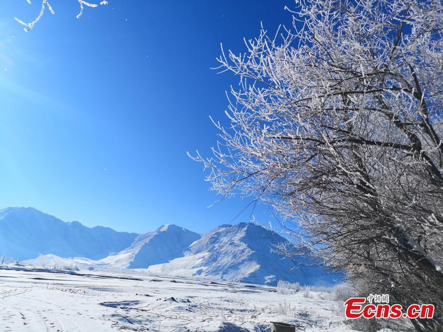 The rime scenery along the Yarlung Zangbo River after the first big snow this winter hit Southwest China\'s Tibet Autonomous Region. (Photo: China News Service/Zhao Lang)