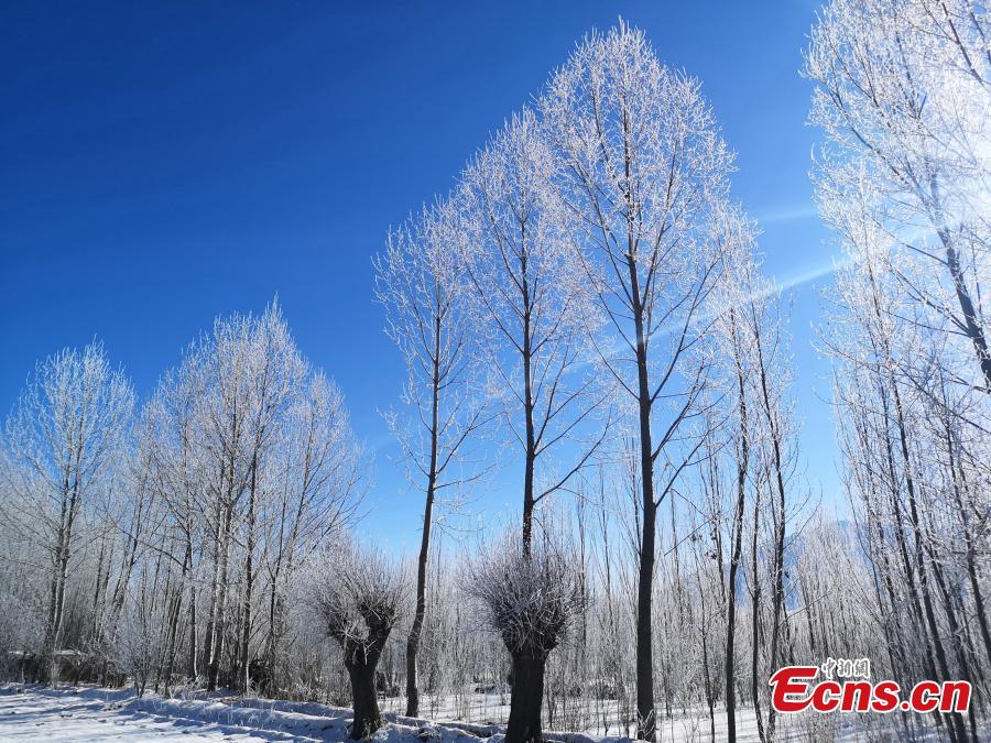 The rime scenery along the Yarlung Zangbo River after the first big snow this winter hit Southwest China\'s Tibet Autonomous Region. (Photo: China News Service/Zhao Lang)