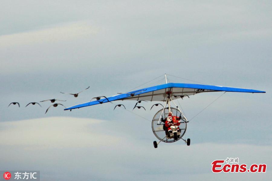 French pilot Christian Moullec, who has been flying with his geese in his craft for years, took friend Jacky Herbert, dressed as Santa, for a fun festive feat through the skies near Saint-Flour Airfield, Massif Central, France. They were 14 geese who travel alongside them during the journey. (Photo/IC)
