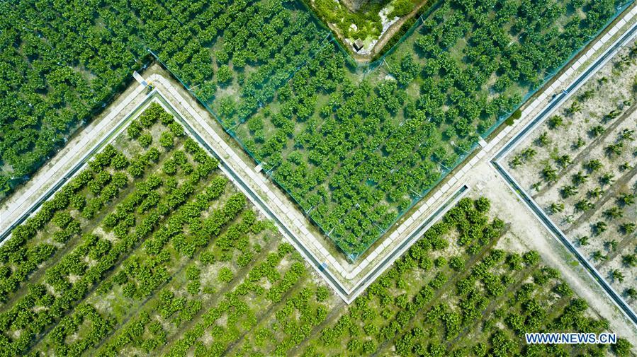 Photo taken on April 27, 2018 shows an aerial view of a garden in the Heping community center of Binhu District in Wuxi City, east China\'s Jiangsu Province. The living and working scenes of Chinese people in the past year have created a series of amazing views, some of which formed geometric figures. Those photos tell the development and progress of the country in 2018. (Xinhua/Shen Bohan)
