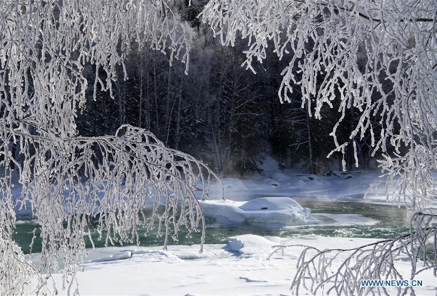 Photo taken on Dec. 23, 2018 shows the frost scenery at the Kanas scenic area, northwest China\'s Xinjiang Uygur Autonomous Region. (Xinhua/Han Yuqing)