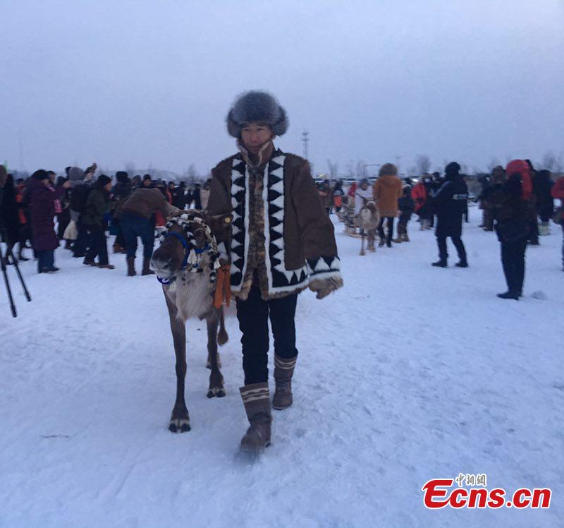Sled reindeer guided by local Ewenki herdsmen compete in a race on Dec. 25 in Genhe City, China\'s Inner Mongolia Autonomous Region, in a bid to portray local customs. The Aoluguya, a tribe of the Ewenki ethnic group in Genhe city is the only tribe that still breeds reindeer in China. It is said about 800 reindeer are living in Genhe and have become a fascinating \