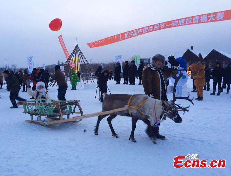 Sled reindeer guided by local Ewenki herdsmen compete in a race on Dec. 25 in Genhe City, China\'s Inner Mongolia Autonomous Region, in a bid to portray local customs. The Aoluguya, a tribe of the Ewenki ethnic group in Genhe city is the only tribe that still breeds reindeer in China. It is said about 800 reindeer are living in Genhe and have become a fascinating \