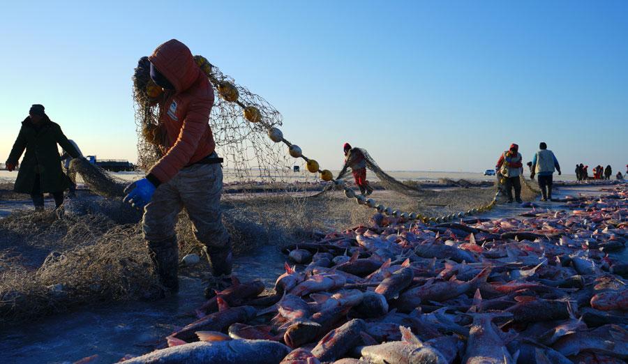 The annual Chagan Lake Fishing and Hunting Cultural Tourism Festival kicks off in Songyuan, Jilin Province, on Dec. 28, 2018. (Photo/chinadaily.com.cn)
\