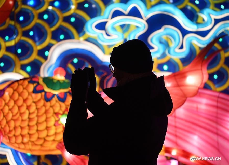 A visitor is silhouetted against a light during China Light Festival at Cologne Zoo in Cologne, Germany, on Jan. 3, 2019. The festival is held here presenting more than 50 lights from Dec. 8, 2018 to Jan. 20, 2019. (Xinhua/Lu Yang)