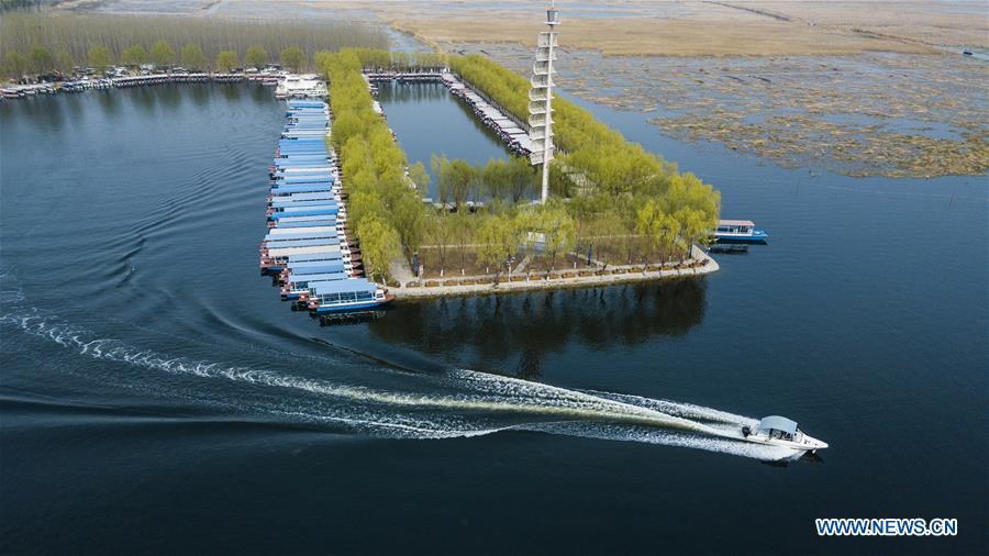 In this aerial photo taken on March 30, 2018, a speedboat leaves a pier in the Baiyangdian lake in Xiongan New Area, north China\'s Hebei Province. China\'s central authorities have approved the 2018-2035 master plan for Xiongan New Area, stressing that its creation is significant to high-quality development and the building of the modern economic system. The plan was approved by the Central Committee of the Communist Party of China (CPC) and the State Council. The master plan is the fundamental guideline for the development, construction and management of the Xiongan New Area and should be strictly implemented, according to the approval released on Wednesday. The plan also lists overall development goals for the new area. By 2035, Xiongan will basically develop into a modern city that is green, intelligent and livable, with relatively strong competitiveness and harmonious human-environment interaction. (Xinhua/Shen Bohan)