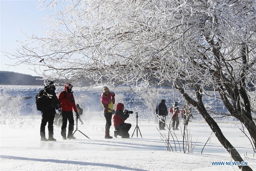 Tourists take photos of frost scenery in Hexigten Banner, north China\'s Inner Mongolia Autonomous Region, Jan. 2, 2019. (Xinhua/Liu Mancang)