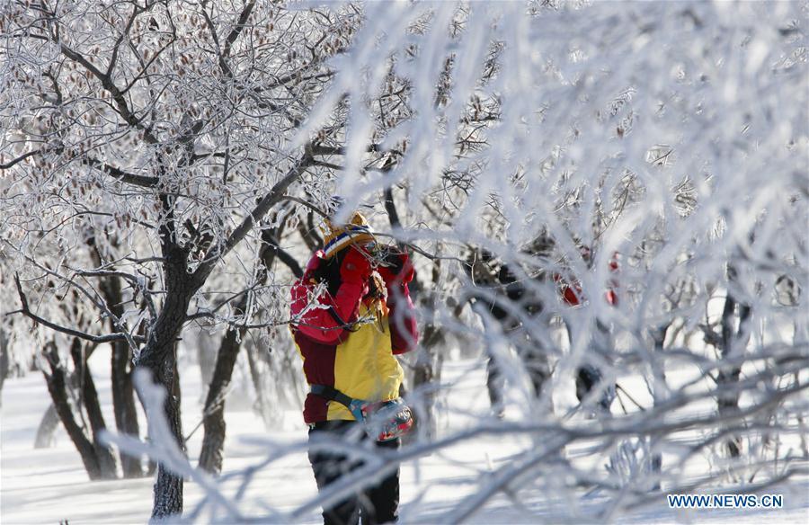 Tourists take photos of frost scenery in Hexigten Banner, north China\'s Inner Mongolia Autonomous Region, Jan. 2, 2019. (Xinhua/Liu Mancang)