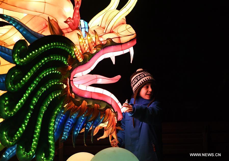 A child visits China Light Festival at Cologne Zoo in Cologne, Germany, on Jan. 3, 2019. The festival is held here presenting more than 50 lights from Dec. 8, 2018 to Jan. 20, 2019. (Xinhua/Lu Yang)