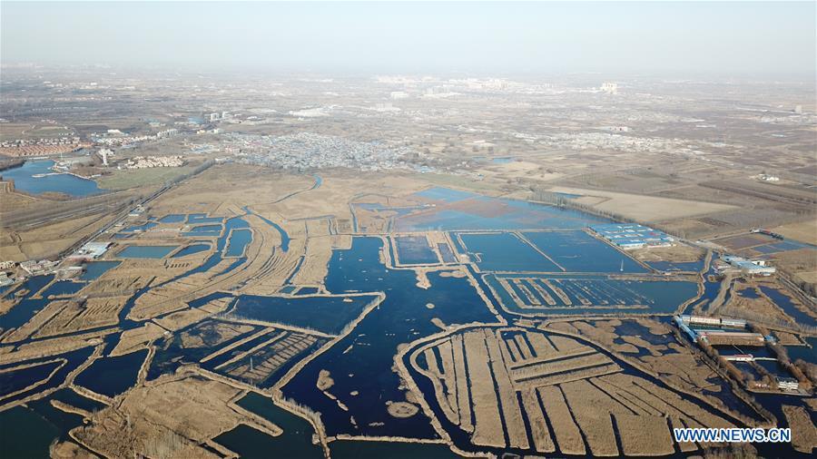 Aerial photo taken on Dec. 7, 2018 shows the Baiyangdian lake in Xiongan New Area, north China\'s Hebei Province. China\'s central authorities have approved the 2018-2035 master plan for Xiongan New Area, stressing that its creation is significant to high-quality development and the building of the modern economic system. The plan was approved by the Central Committee of the Communist Party of China (CPC) and the State Council. The master plan is the fundamental guideline for the development, construction and management of the Xiongan New Area and should be strictly implemented, according to the approval released on Wednesday. The plan also lists overall development goals for the new area. By 2035, Xiongan will basically develop into a modern city that is green, intelligent and livable, with relatively strong competitiveness and harmonious human-environment interaction. (Xinhua/Mu Yu)