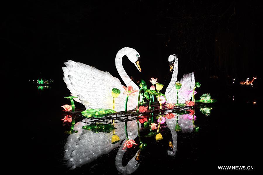 Illuminated swans are seen during China Light Festival at Cologne Zoo in Cologne, Germany, on Jan. 3, 2019. The festival is held here presenting more than 50 lights from Dec. 8, 2018 to Jan. 20, 2019. (Xinhua/Lu Yang)
