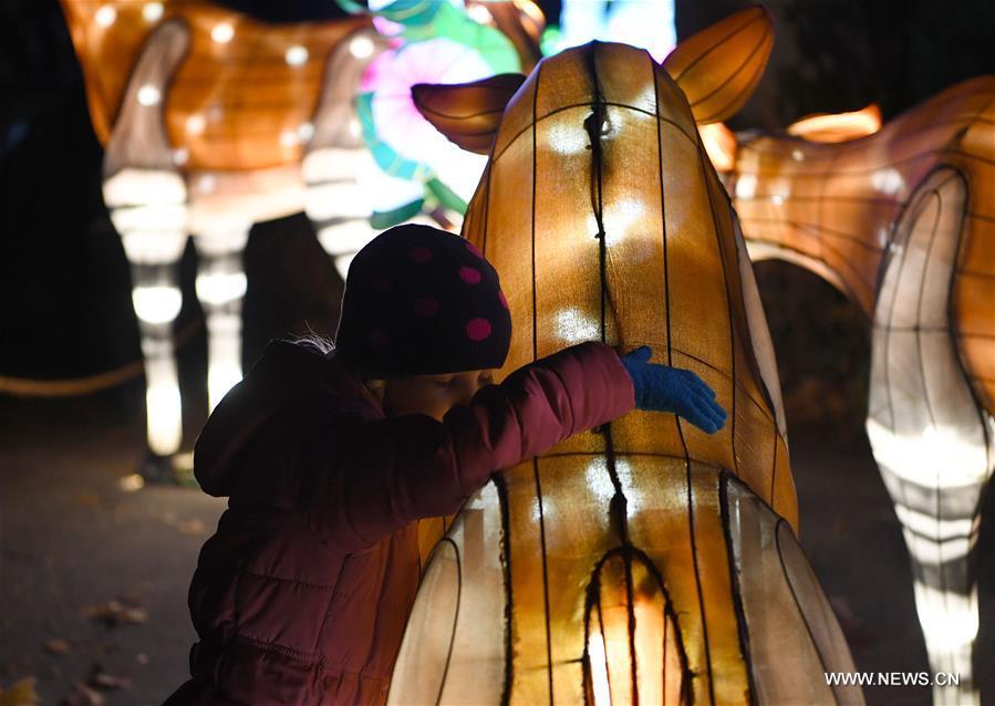 A child visits China Light Festival at Cologne Zoo in Cologne, Germany, on Jan. 3, 2019. The festival is held here presenting more than 50 lights from Dec. 8, 2018 to Jan. 20, 2019. (Xinhua/Lu Yang)
