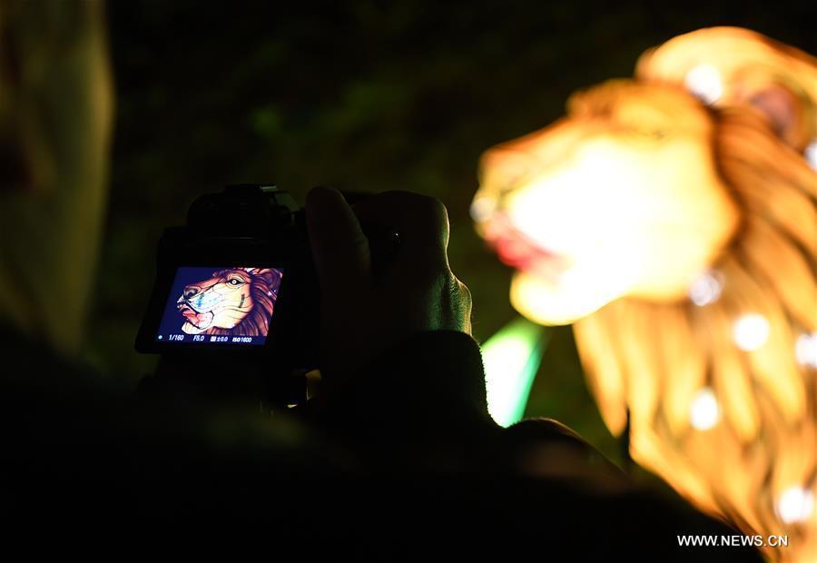A visitor takes photos during China Light Festival at Cologne Zoo in Cologne, Germany, on Jan. 3, 2019. The festival is held here presenting more than 50 lights from Dec. 8, 2018 to Jan. 20, 2019. (Xinhua/Lu Yang)