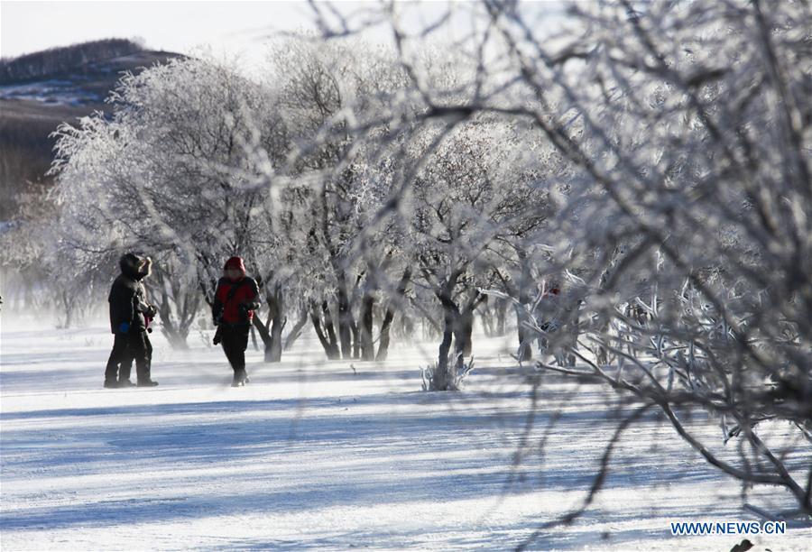 Tourists take photos of frost scenery in Hexigten Banner, north China\'s Inner Mongolia Autonomous Region, Jan. 2, 2019. (Xinhua/Liu Mancang)