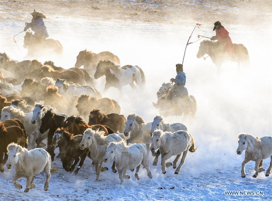 Herdsmen drive horses on the snow-covered grassland in Hexigten Banner of Chifeng City, north China\'s Inner Mongolia Autonomous Region, Jan. 6, 2019. Inner Mongolia greets a peak tourism season in winter recently. (Xinhua/Peng Yuan)