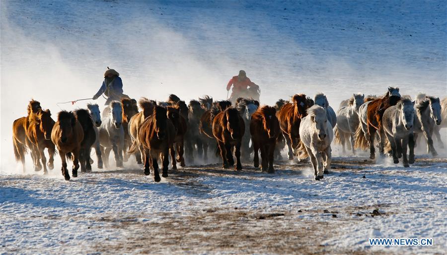 Herdsmen drive horses on the snow-covered grassland in Hexigten Banner of Chifeng City, north China\'s Inner Mongolia Autonomous Region, Jan. 6, 2019. Inner Mongolia greets a peak tourism season in winter recently. (Xinhua/Yu Dongsheng)