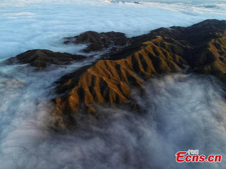 A sea of clouds surrounds Motianling, an approximately 2,000-meter-high peak in Rongshui Miao Autonomous County in Liuzhu City, South China\'s Guangxi Zhuang Autonomous Region, Jan. 5, 2019. (Photo: China News Service/Wang Yizhao)