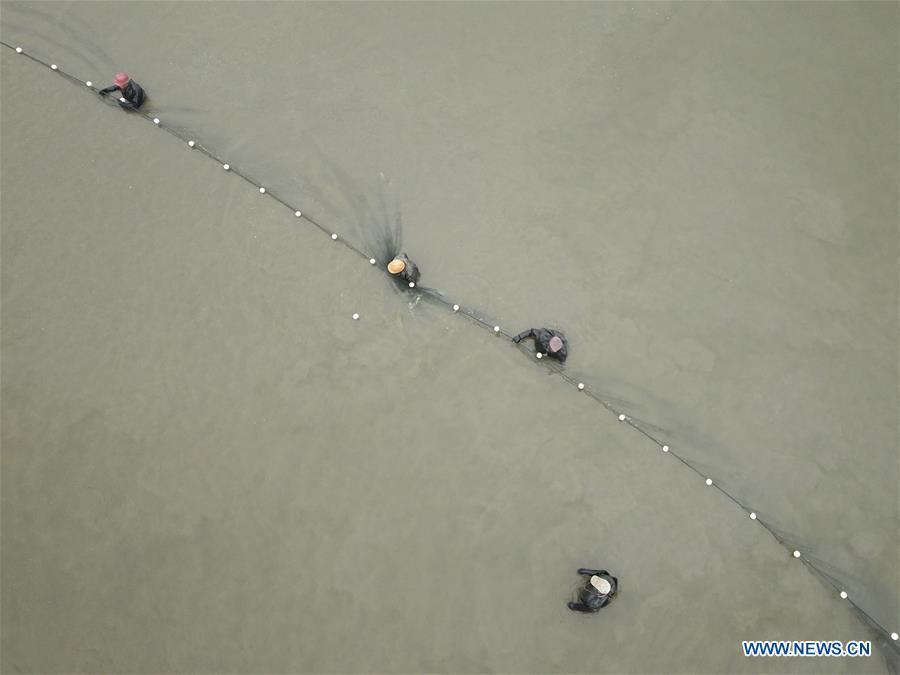 Aerial photo shows fishermen harvesting fish in Chahe Town of Huai\'an, east China\'s Jiangsu Province, Jan. 6, 2019. (Xinhua/Wan Zhen)