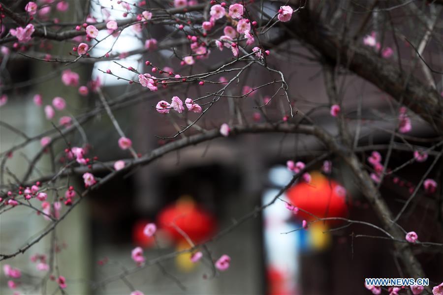 Photo taken on Jan. 6, 2019 shows the festival decorations to greet the upcoming Lunar New Year in Zhuoshui ancient town in Qianjiang District, southwest China\'s Chongqing. (Xinhua/Yang Min)