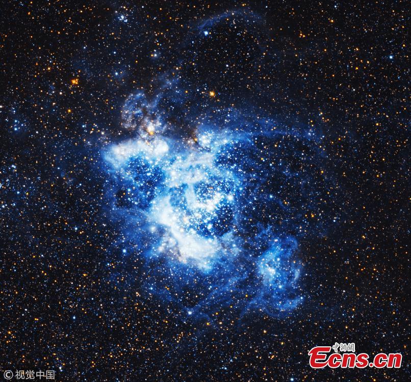 This gigantic image of the Triangulum Galaxy -- also known as Messier 33 -- is a composite of about 54 different pointings with Hubble\'s Advanced Camera for Surveys. With a staggering size of 34 372 times 19 345 pixels, it is the second-largest image ever released by Hubble. It is only dwarfed by the image of the Andromeda Galaxy, released in 2016. (Photo/VCG)