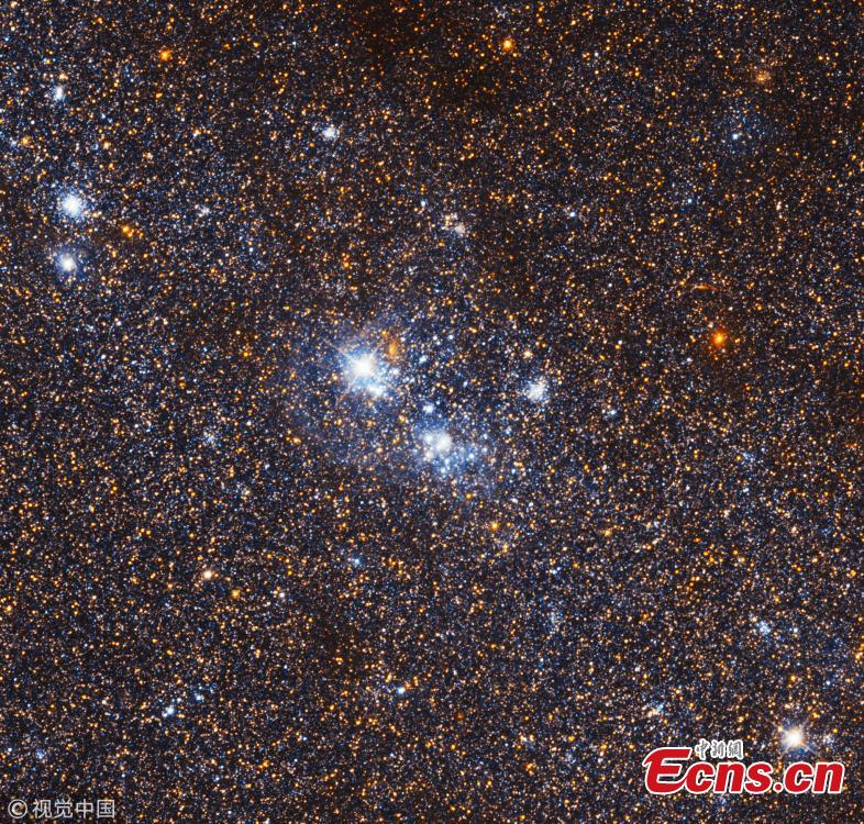 This gigantic image of the Triangulum Galaxy -- also known as Messier 33 -- is a composite of about 54 different pointings with Hubble\'s Advanced Camera for Surveys. With a staggering size of 34 372 times 19 345 pixels, it is the second-largest image ever released by Hubble. It is only dwarfed by the image of the Andromeda Galaxy, released in 2016. (Photo/VCG)