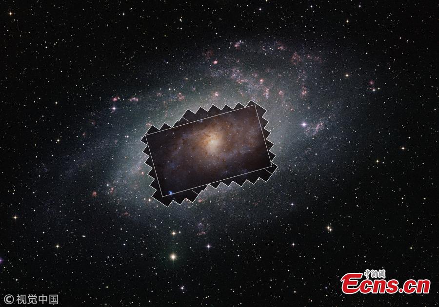 This gigantic image of the Triangulum Galaxy -- also known as Messier 33 -- is a composite of about 54 different pointings with Hubble\'s Advanced Camera for Surveys. With a staggering size of 34 372 times 19 345 pixels, it is the second-largest image ever released by Hubble. It is only dwarfed by the image of the Andromeda Galaxy, released in 2016. (Photo/VCG)