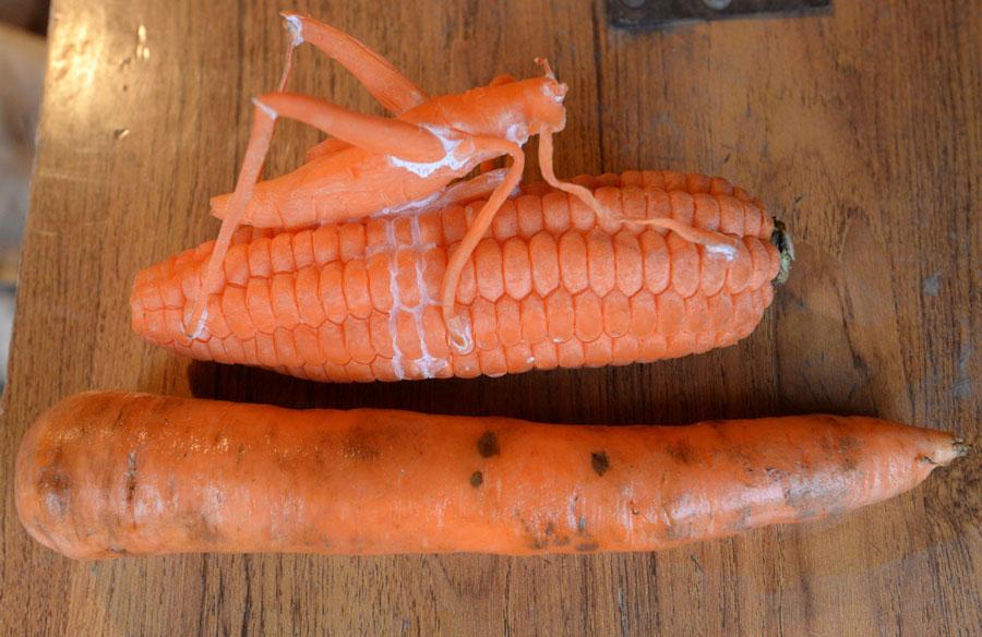 An ordinary carrot and a sculpture made out of a carrot by Guo Yuhong, a vegetable vendor. (Photo by Hao Qunying for chinadaily.com.cn)