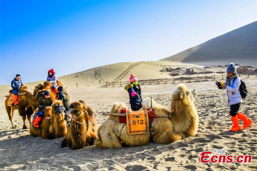 Tourists from across the country brave the cold to visit the Crescent Spring and Singing-Sand Dunes scenic spot in Dunhuang City, Northwest China\'s Gansu Province. Riding a camel across the desert has been popular among tourists. (Photo: China News Service/Wang Binyin)