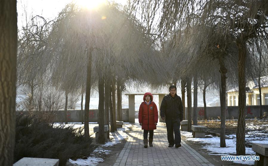 Hu Zhisheng and his student Sun Xiaofeng walk on the road after school in Yantai Village of Lianhua Township in Tieling City, northeast China\'s Liaoning Province, Jan. 7, 2019. Located in a remote mountain village, most students of Yantai school had transferred to other places outside the mountain. Sun Xiaofeng, a third grade student, became the only student of the school in September last year taught by Hu Zhisheng, the only one faculty of Yantai primary school. (Xinhua/Yao Jianfeng)