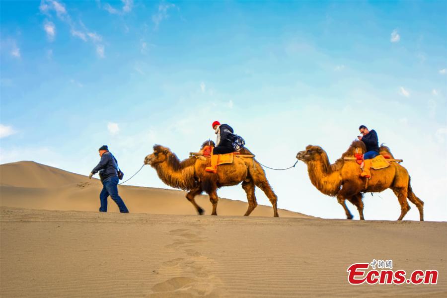Tourists from across the country brave the cold to visit the Crescent Spring and Singing-Sand Dunes scenic spot in Dunhuang City, Northwest China\'s Gansu Province. Riding a camel across the desert has been popular among tourists. (Photo: China News Service/Wang Binyin)