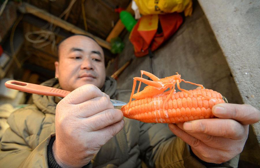 Guo Yuhong, a vegetable vendor at a market in Handan, North China\'s Hebei Province, carves a carrot into a figure of a locust on corn. (Photo by Hao Qunying for chinadaily.com.cn)

A vegetable vendor in Handan city, North China\'s Hebei Province, carves sculptures out of his wares, including carrots and watermelons.

Guo Yuhong, 44, sells vegetables at a market in Handan. He started to make vegetable sculptures in his spare time in 2013. Now he has nearly 100 in his collection.