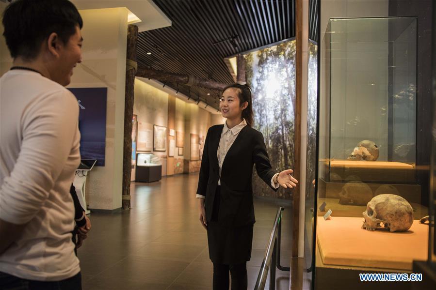 A guide shows a human skull fossil discovered at Jalainur District at Jalainur Museum in Manzhouli, north China\'s Inner Mongolia Autonomous Region, Jan. 8, 2019. A carbon-14 dating study on four skull samples discovered at Jalainur District, Manzhouli City in northern China\'s Inner Mongolia Autonomous Region confirmed the earliest sample was around 10,113 years old, researchers announced Saturday in Beijing. Jalainur, a county-level district under the jurisdiction of Manzhouli City, is located near Russia and Mongolia. Starting in March 2018, the study was jointly conducted by researchers from Peking University (PKU) and the school of archaeology at Jilin University. (Xinhua/Darhan)