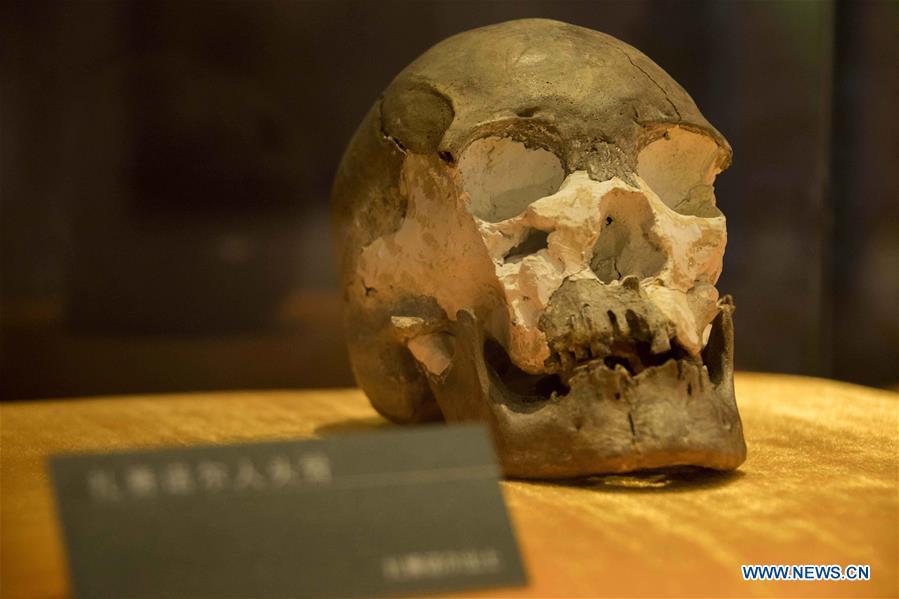 Photo taken on Jan. 8, 2019 shows a human skull fossil discovered at Jalainur District at Jalainur Museum in Manzhouli, north China\'s Inner Mongolia Autonomous Region. A carbon-14 dating study on four skull samples discovered at Jalainur District, Manzhouli City in northern China\'s Inner Mongolia Autonomous Region confirmed the earliest sample was around 10,113 years old, researchers announced Saturday in Beijing. Jalainur, a county-level district under the jurisdiction of Manzhouli City, is located near Russia and Mongolia. Starting in March 2018, the study was jointly conducted by researchers from Peking University (PKU) and the school of archaeology at Jilin University. (Xinhua/Darhan)