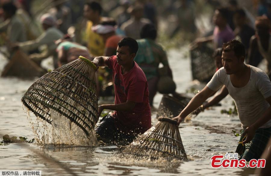 Indian villagers participate in community fishing as part of Bhogali Bihu celebrations in Panbari village, some 50 kilometers east of Gauhati, India, Jan. 14, 2019. \