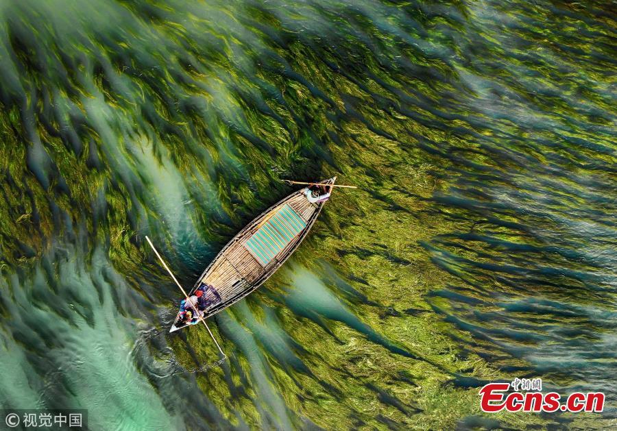 An aerial photo shows a fishing boat floating down a river in Ullahpara, Bangladesh. The surreal patterns are created thanks to the flowing current and algae in the water. (Photo/VCG)