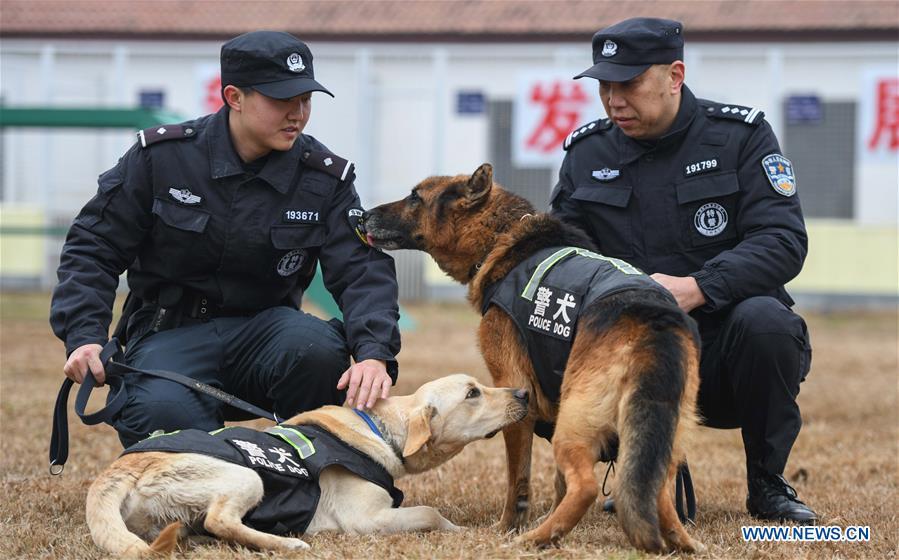 Wuhan railway policemen Ding Yan (L) and Zhang Ning train police dogs \