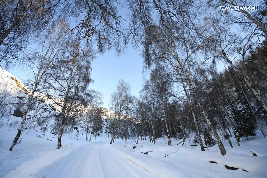 Photo taken on Jan. 19, 2019 shows the winter scenery of Keketuohai scenic spot in Altay, northwest China\'s Xinjiang Uygur Autonomous Region. (Xinhua/Sadat)