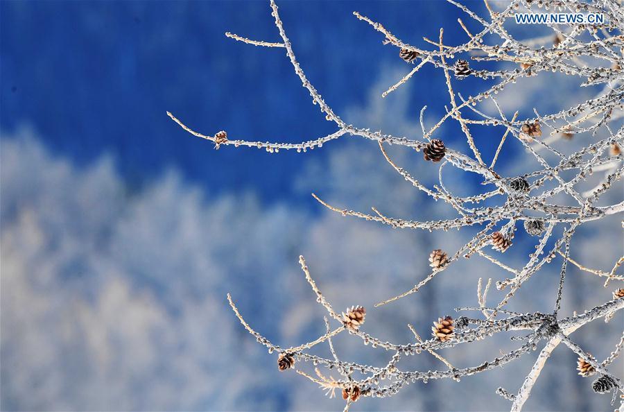 Photo taken on Jan. 19, 2019 shows the winter scenery of Keketuohai scenic spot in Altay, northwest China\'s Xinjiang Uygur Autonomous Region. (Xinhua/Sadat)