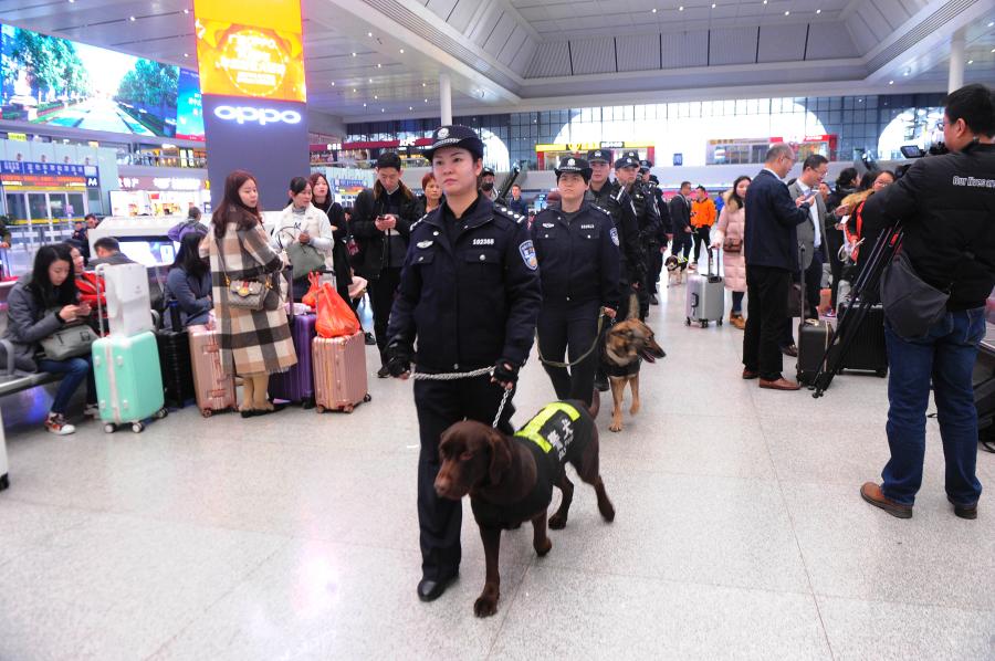 Police dog Hao Ke starts its first service during the Spring Festival travel rush at a railway station in Nanning City, South China’s Guangxi Zhuang Autonomous Region, Jan. 21, 2019. The police dog born on Nov. 27, 2015 has undergone 500 days of training that included searching for explosives. (Photo: China News Service/Jiang Xuelin)