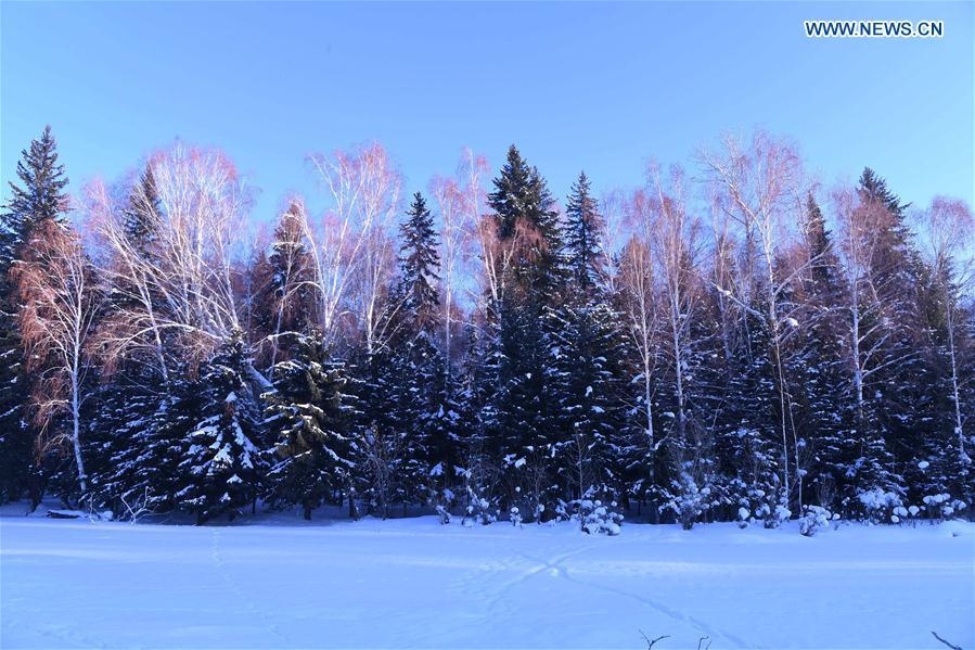 Photo taken on Jan. 19, 2019 shows the winter scenery of Keketuohai scenic spot in Altay, northwest China\'s Xinjiang Uygur Autonomous Region. (Xinhua/Sadat)