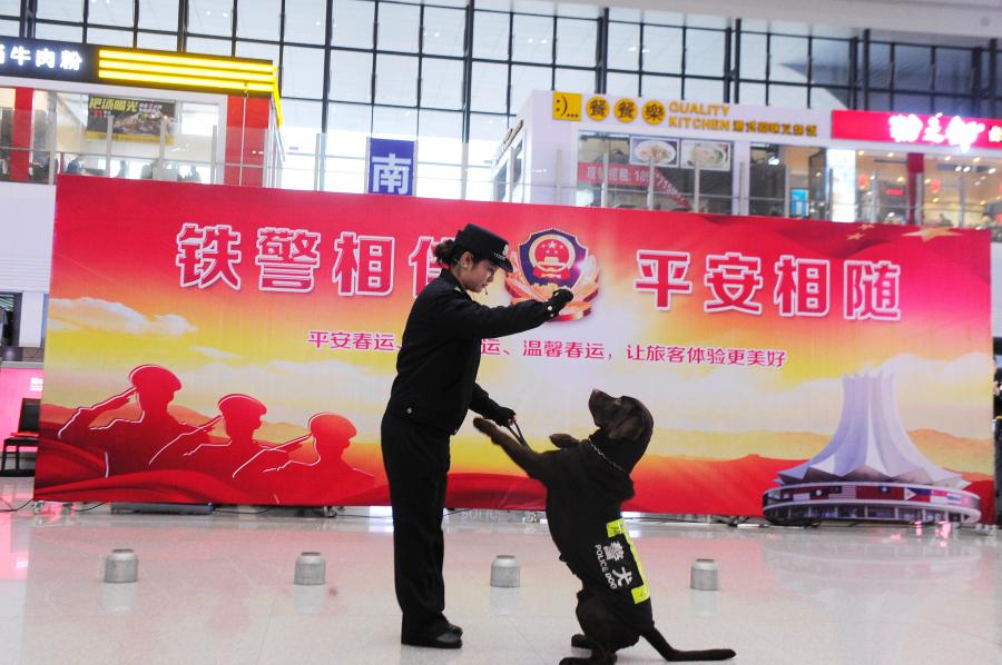 Police dog Hao Ke starts its first service during the Spring Festival travel rush at a railway station in Nanning City, South China’s Guangxi Zhuang Autonomous Region, Jan. 21, 2019. The police dog born on Nov. 27, 2015 has undergone 500 days of training that included searching for explosives. (Photo: China News Service/Jiang Xuelin)