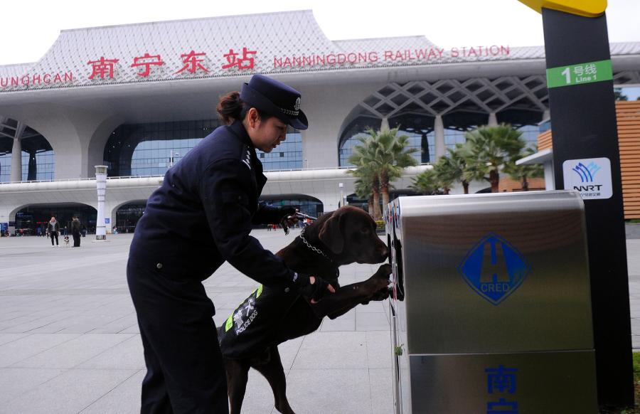 Police dog Hao Ke starts its first service during the Spring Festival travel rush at a railway station in Nanning City, South China’s Guangxi Zhuang Autonomous Region, Jan. 21, 2019. The police dog born on Nov. 27, 2015 has undergone 500 days of training that included searching for explosives. (Photo: China News Service/Jiang Xuelin)