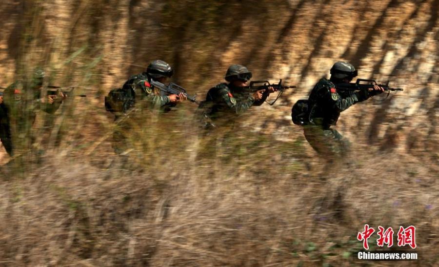 Armed police undergo an intensive training on a mountain in Sanya City, South China\'s Hainan Province, Jan. 21, 2019. More than 100 members of the special police participated in the month-long training that took place in an open field and involved some 30 modules, including a grueling 16-hour drill a day and a long-distance trek carrying a load of at least 30 kilograms. (Photo: China News Service/Lei Zhe)