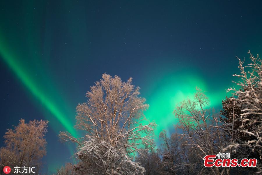 Photographer Mia Stalnacke captures spectacular views of the northern lights in Kiruna, Sweden, as temperatures dropped to minus 20 degrees. (Photo/IC)